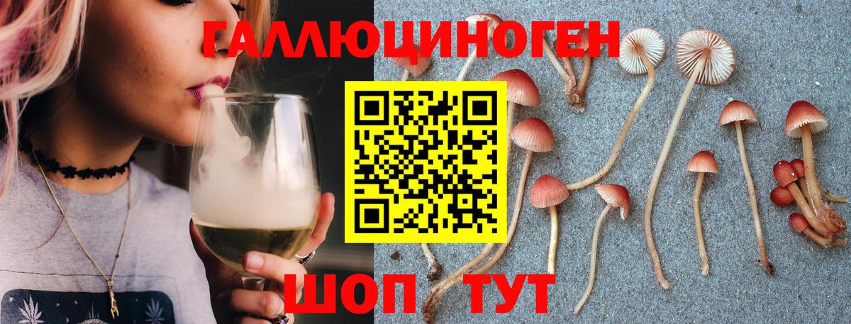 Псилоцибиновые грибы GOLDEN TEACHER Нижневартовск