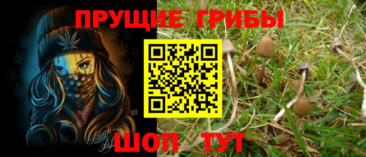 Нижневартовск  Галлюциногенные грибы GOLDEN TEACHER  Вход с VPN  Галлюциногенные грибы Magic Shrooms 
